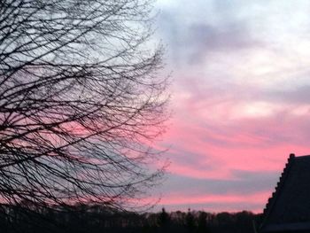 Low angle view of silhouette trees against sky at sunset