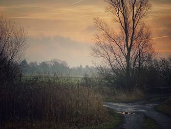 Bare trees on field against sky during sunset