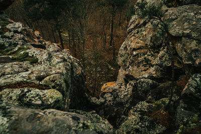 Close-up of rock formation on land