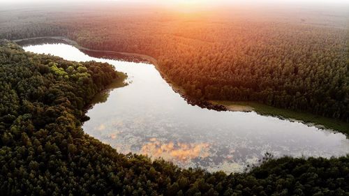 High angle view of trees on landscape against sky