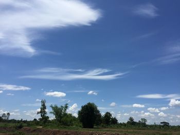 Trees on field against sky