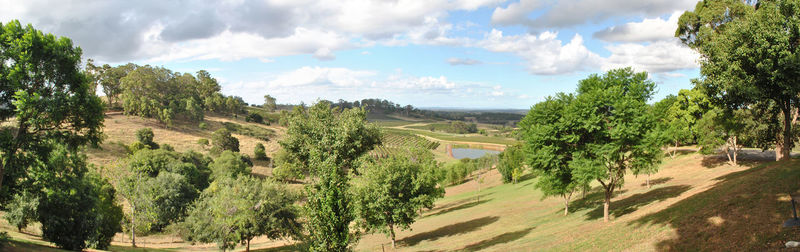 Panoramic shot of trees on landscape against sky