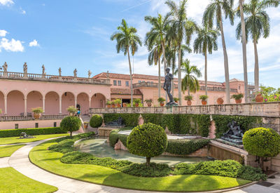 Palm trees in garden