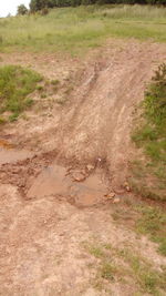 High angle view of dirt road on field