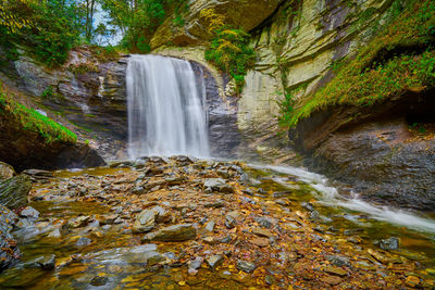 Scenic view of waterfall in forest