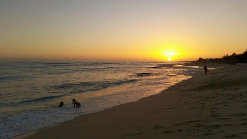 Silhouette of people at beach during sunset