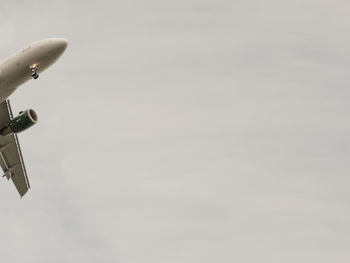 Low angle view of bird flying in sky