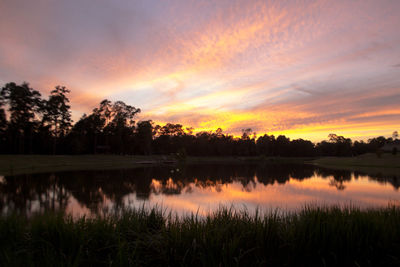 Reflection of trees in calm lake during sunset