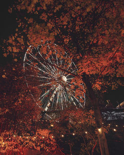 View of firework display