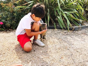 Boy playing with cat against plants