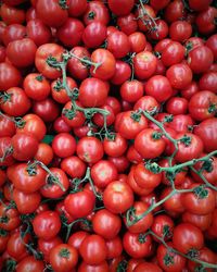 High angle view of tomatoes for sale at market stall