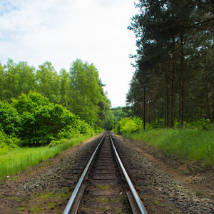 Railroad tracks amidst trees against sky