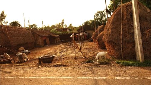 Panoramic view of a village