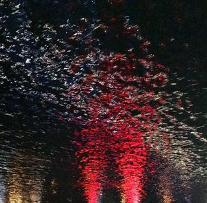 Full frame shot of illuminated trees at night