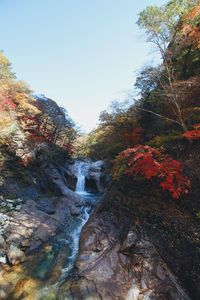 Scenic view of waterfall in forest against sky