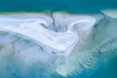 High angle view of turtle in sea