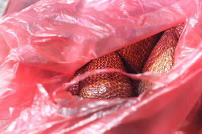 Full frame shot of snake fruit