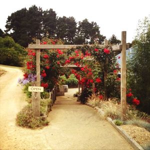 Footpath in park