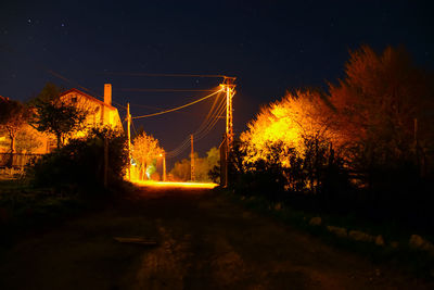 Illuminated road by trees against sky at night