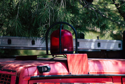 Close-up of red car against trees