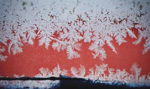 Close-up of car window during winter