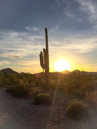 Scenic view of landscape at sunset