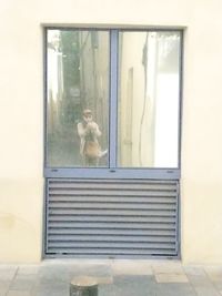 White dog seen through glass window