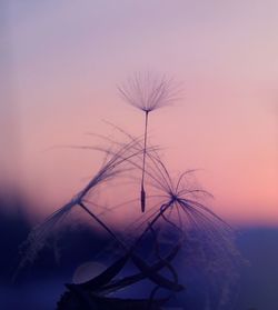 Close-up of silhouette bare tree against sky
