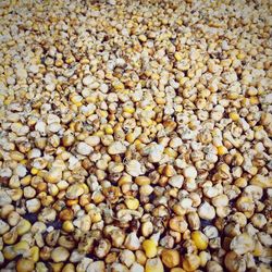 Full frame shot of corn kernels