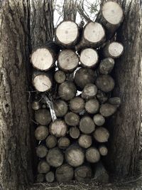Full frame shot of logs