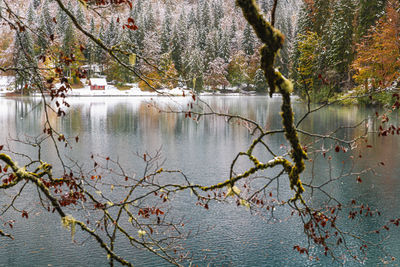 Scenic view of lake by trees during autumn