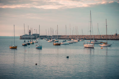 Sailboats in marina at sunset