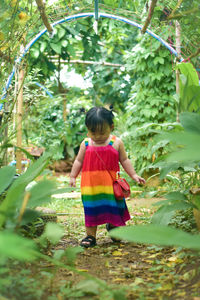 Rear view of boy standing amidst plants