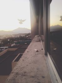 Close-up of airplane window