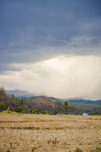 Scenic view of landscape against sky