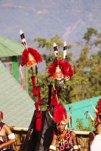 Close up of red flowers