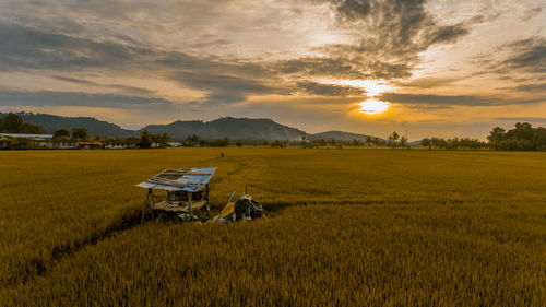 Scenic view of agricultural field against sky during sunset