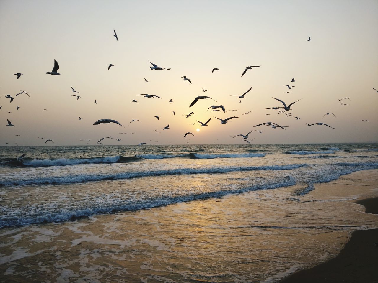 SILHOUETTE BIRDS FLYING OVER SEA AGAINST SKY