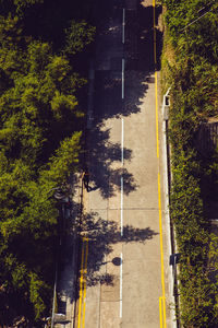 High angle view of road by trees in city