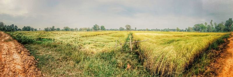 Scenic view of farm against sky