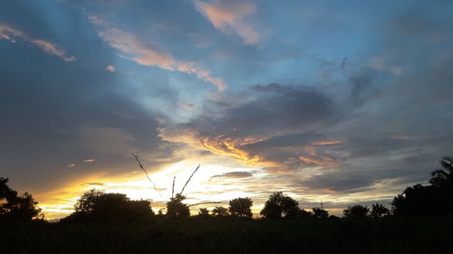 Silhouette of trees on field against dramatic sky