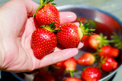 Close-up of strawberries in bowl