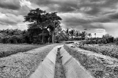 Road amidst trees against sky