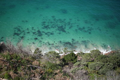 High angle view of sea shore