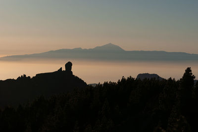 Silhouette man by tree against sky during sunset