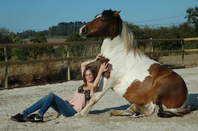 Horse standing on field