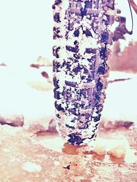 Close-up of ice cream on table