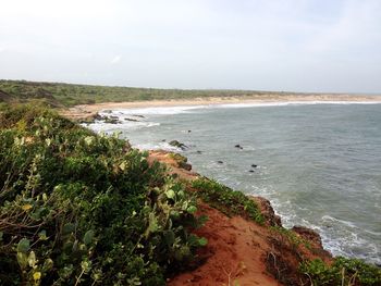 Scenic view of beach against sky