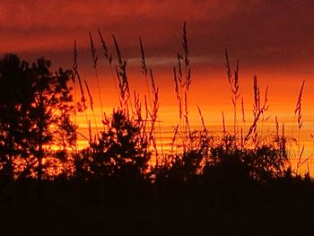 Silhouette plants on field against romantic sky at sunset