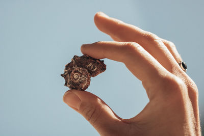 Close-up of hand holding bread against gray background